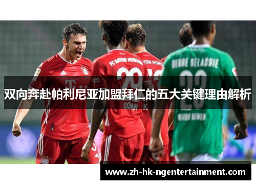 双向奔赴帕利尼亚加盟拜仁的五大关键理由解析