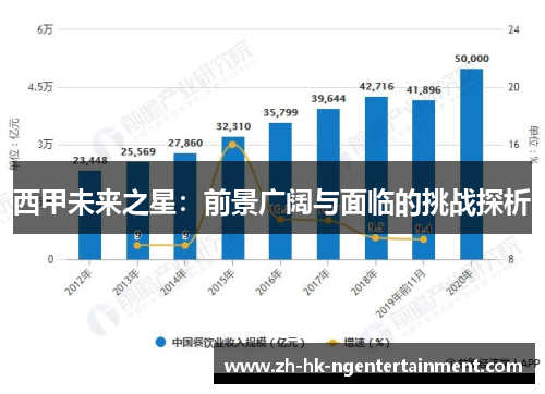 西甲未来之星：前景广阔与面临的挑战探析