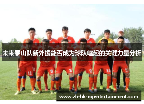 未来泰山队新外援能否成为球队崛起的关键力量分析