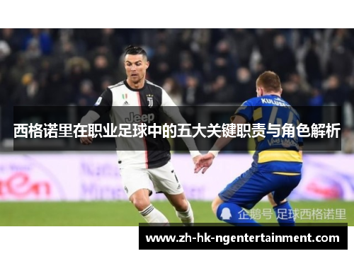西格诺里在职业足球中的五大关键职责与角色解析