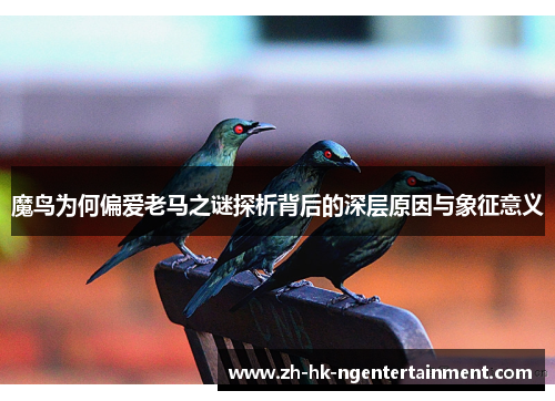 魔鸟为何偏爱老马之谜探析背后的深层原因与象征意义