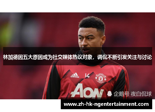 林加德因五大原因成为社交媒体热议对象，调侃不断引发关注与讨论